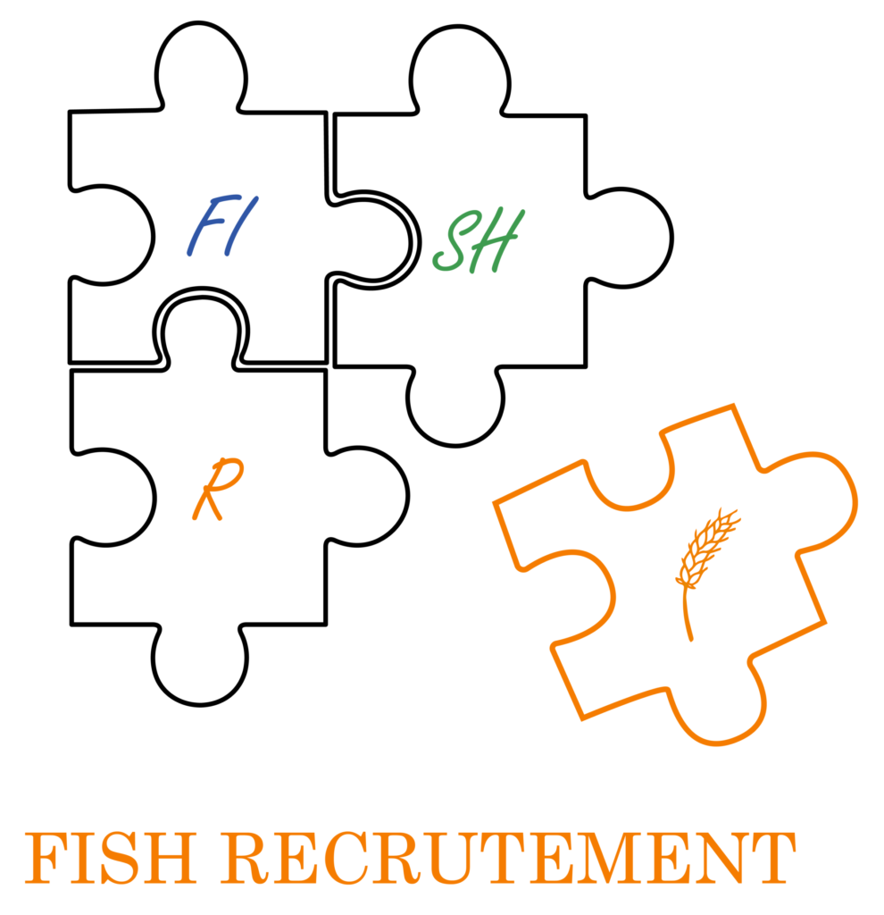 Logo Fish recrutement - puzzle